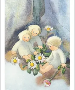 Postkarte Gänseblümchen von Mili Weber