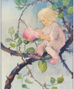 Postkarte Rosenmärchen von Mili Weber