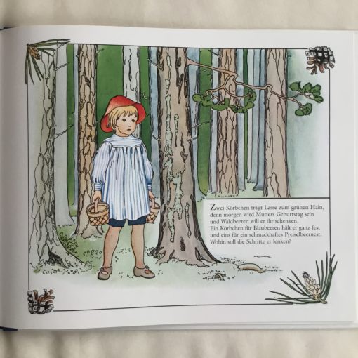 Buch: Lasse im Blaubeerland – Bild 2