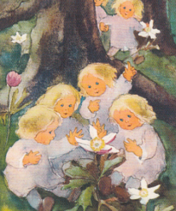 Postkarte Kommt schaut, die Anemonen blühen von Mili Weber