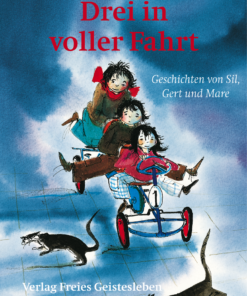 Buch: Drei in voller Fahrt - Geschichten von Sil, Gert und Mare (Teil 2)