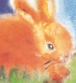 Postkarte Hase