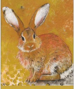 Postkarte Kaninchen (Rabbit)