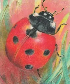 Postkarte Marienkäfer von Loes Botman