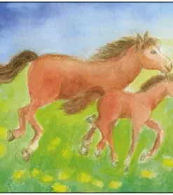 Postkarte Pferd mit Fohlen